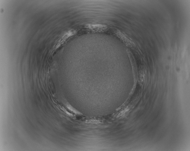 X0000081631010200701291316