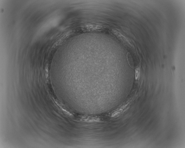 X0000081631011200701291316