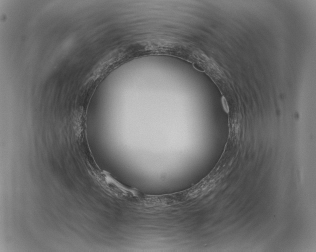 X0000081631012200701291316