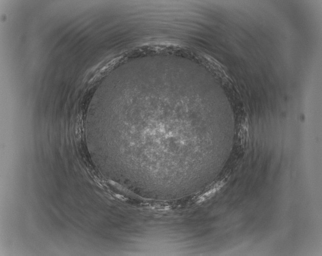 X0000081631014200701291316