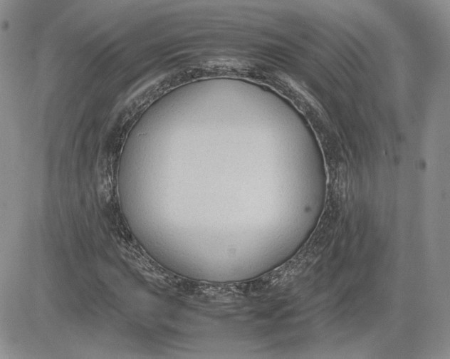 X0000081631015200701291316