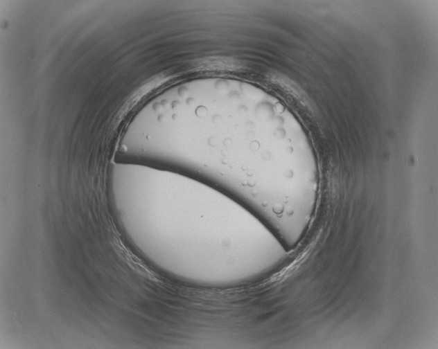 X0000081631025200701291316