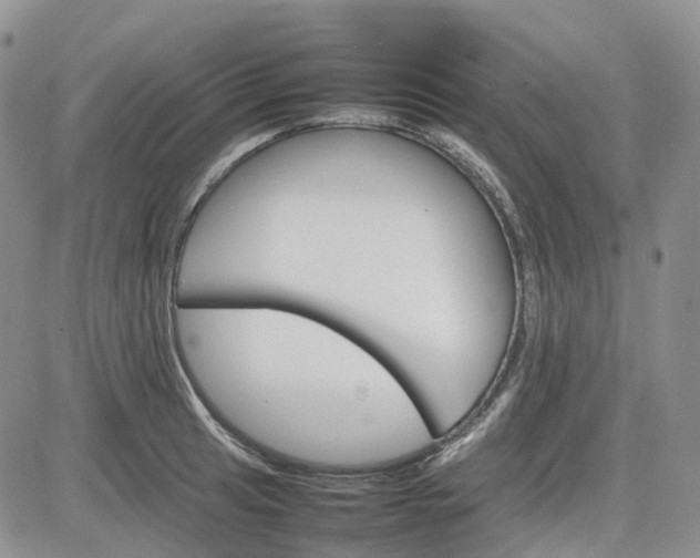 X0000081631041200701291316