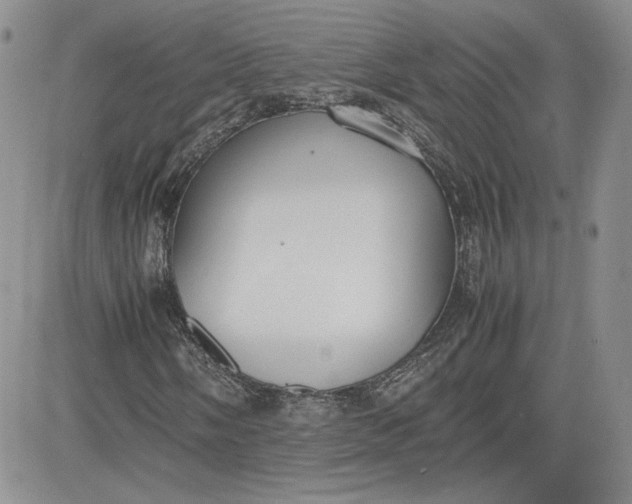 X0000081631058200701291316