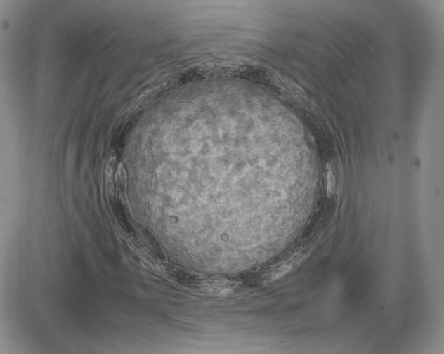 X0000081631059200701291316