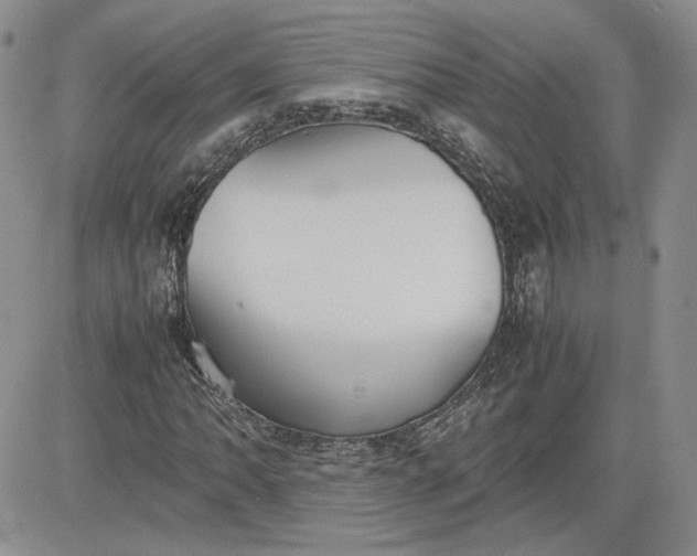 X0000081631062200701291316