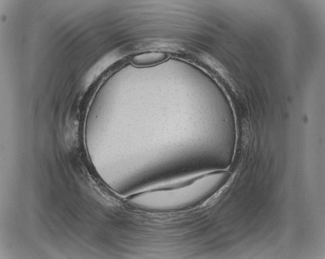 X0000081631066200701291316