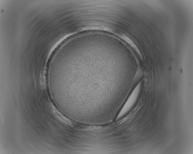 X0000081631068200701291316
