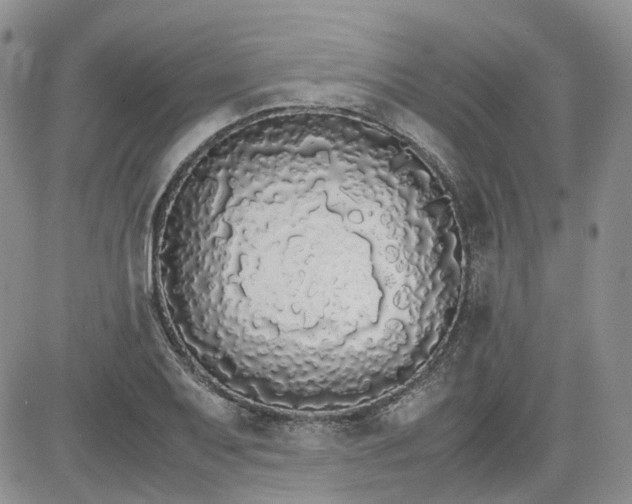 X0000081631079200701291315