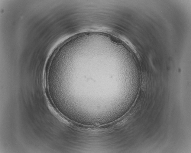 X0000081631080200701291315