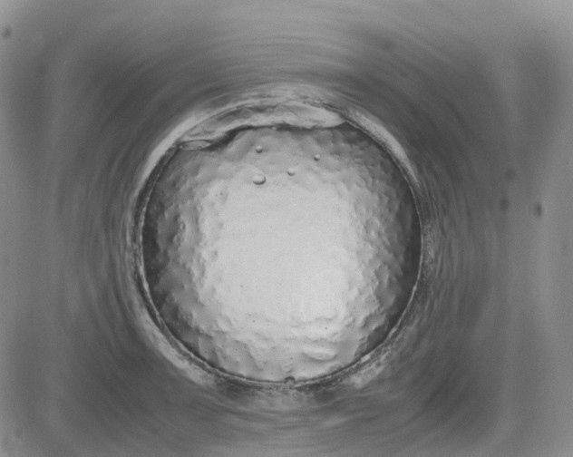 X0000081631091200701291315