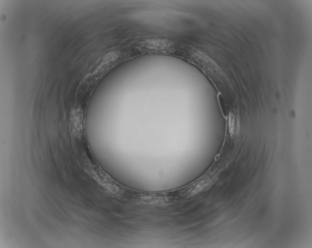 X0000081631107200701291314