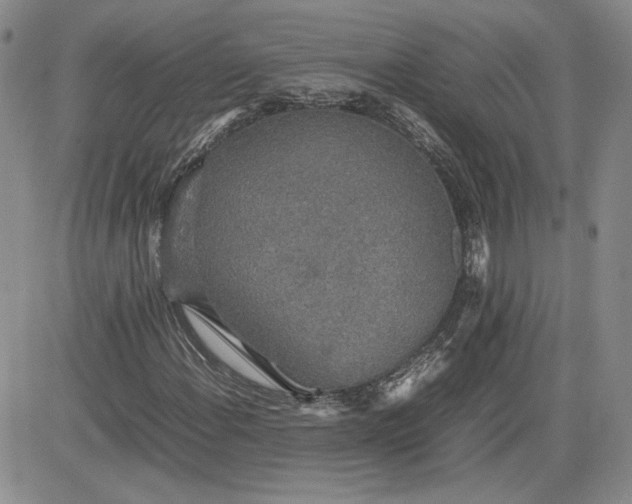 X0000081631108200701291314