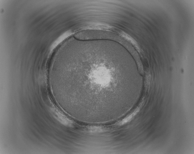 X0000081631114200701291314