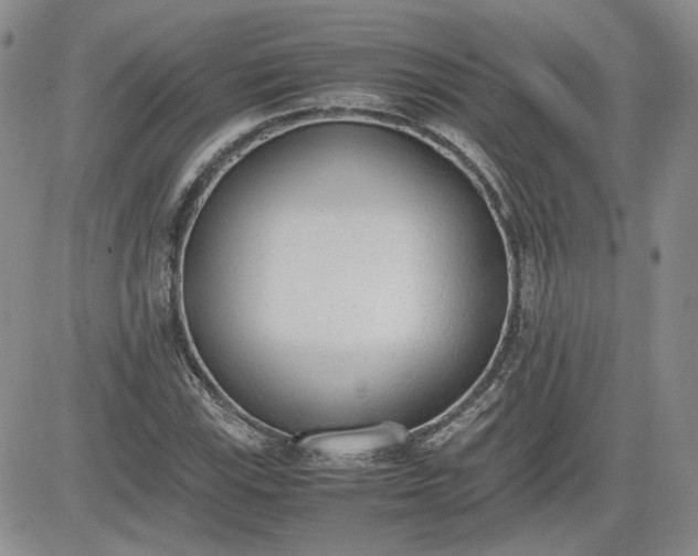 X0000081631115200701291314