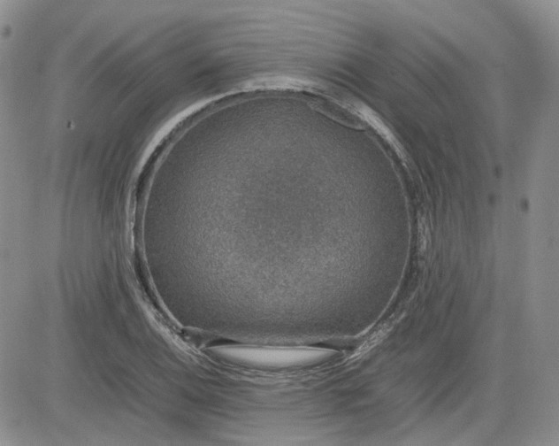 X0000081631124200701291315