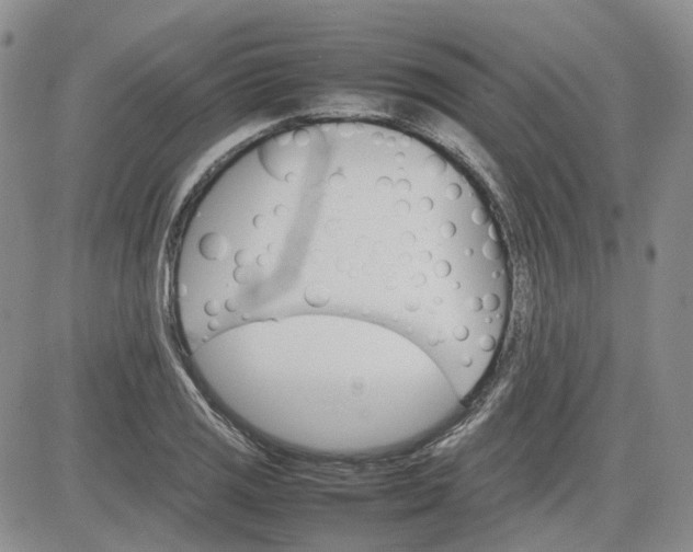 X0000081631125200701291315