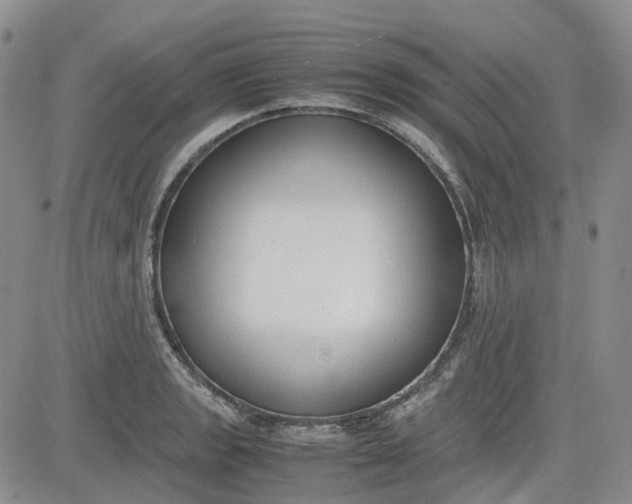 X0000081631133200701291315