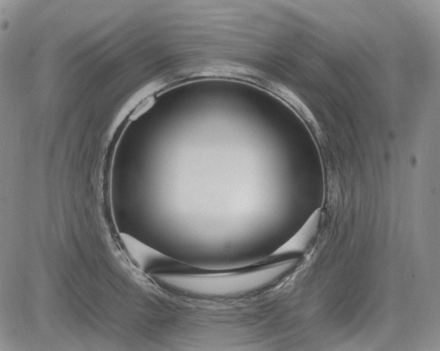 X0000081631138200701291315
