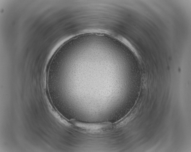 X0000081631140200701291315