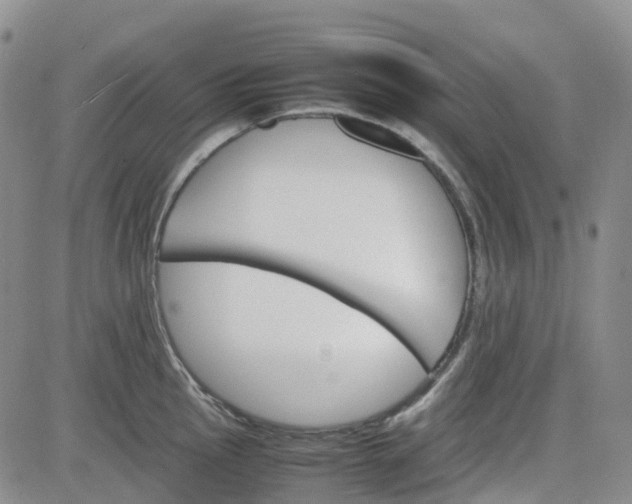 X0000081631145200701291315