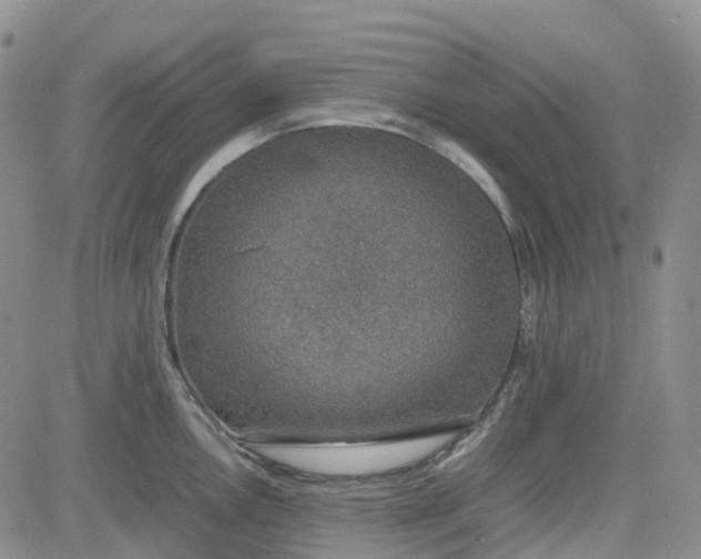 X0000081631146200701291315