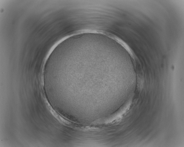 X0000081631148200701291315