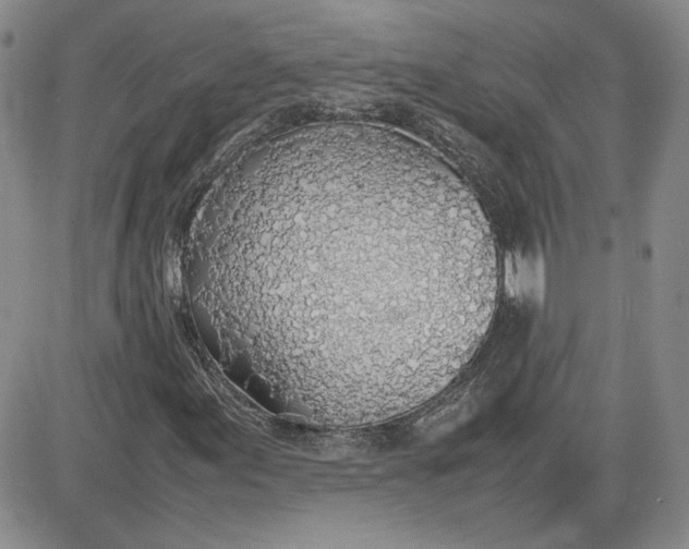 X0000081631155200701291314