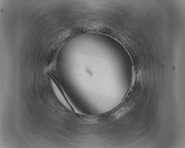 X0000081631156200701291314