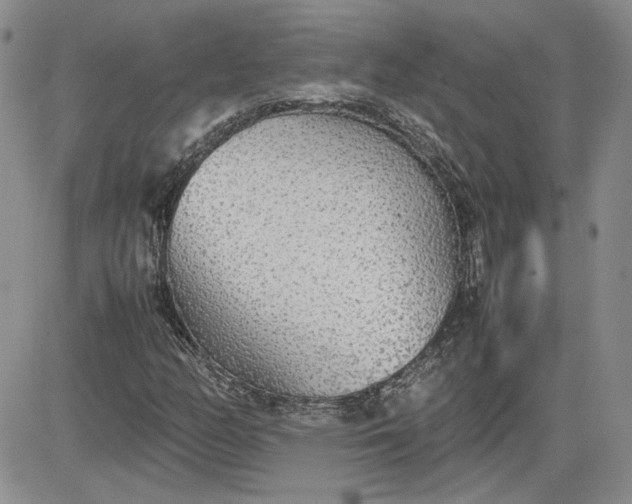 X0000081631158200701291314