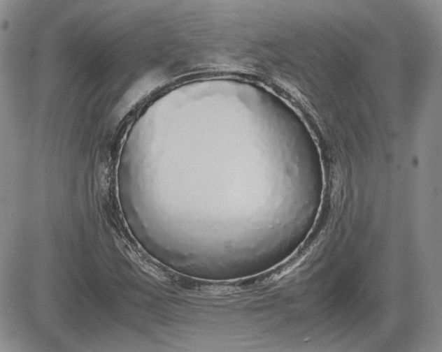 X0000081631163200701291314