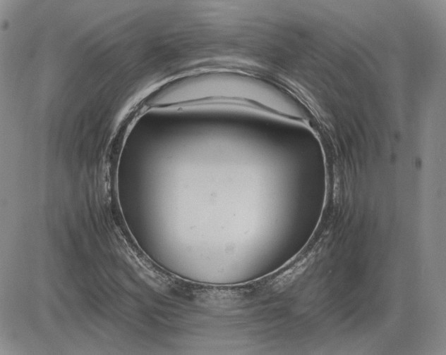 X0000081631164200701291314