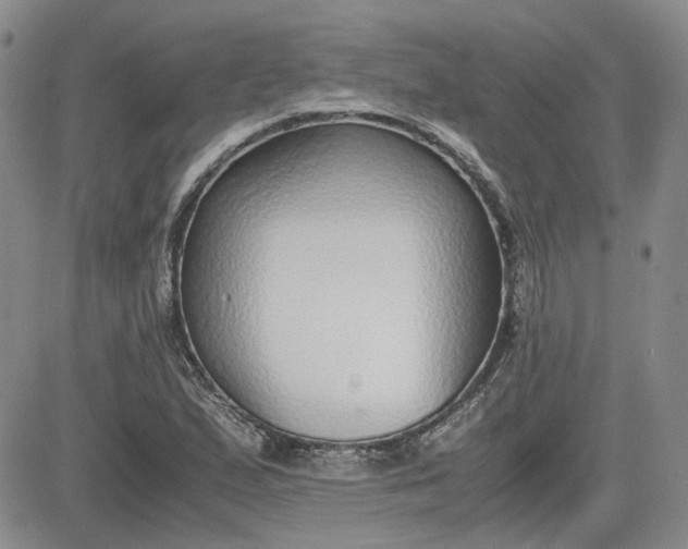 X0000081631167200701291314