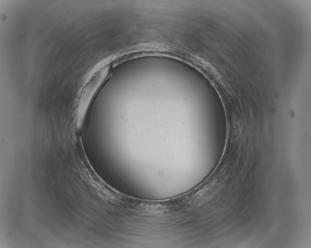 X0000081631168200701291314