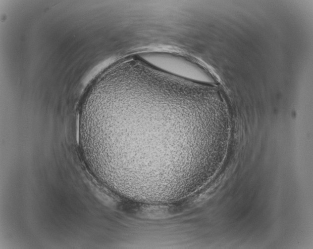 X0000081631171200701291314