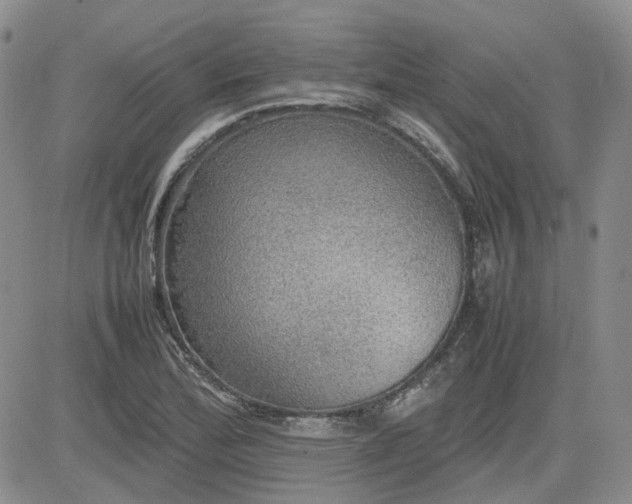 X0000081631172200701291314