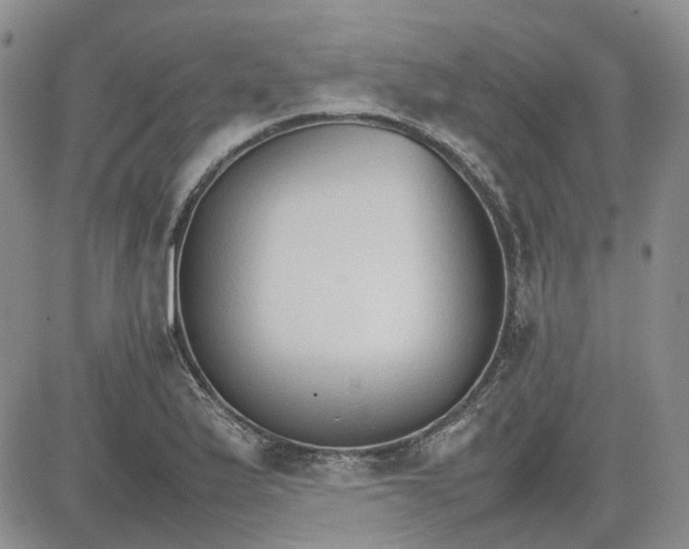 X0000081631175200701291314