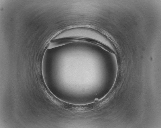 X0000081631177200701291314