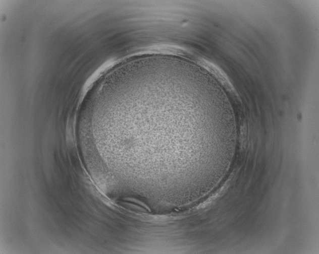 X0000081631180200701291314