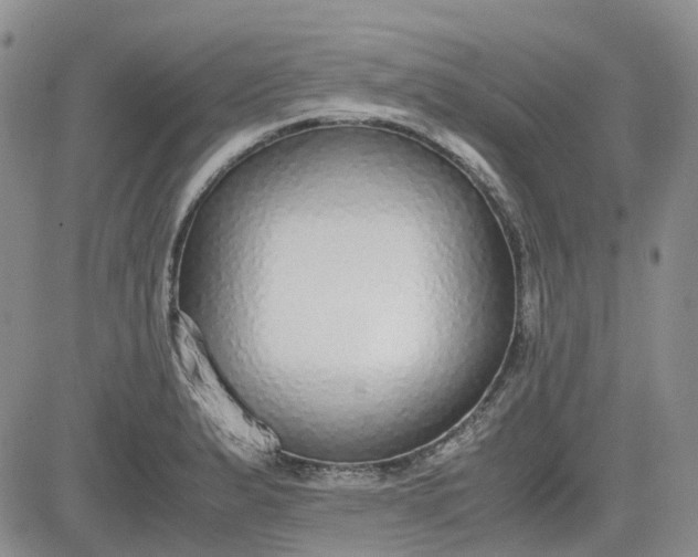 X0000081631183200701291314