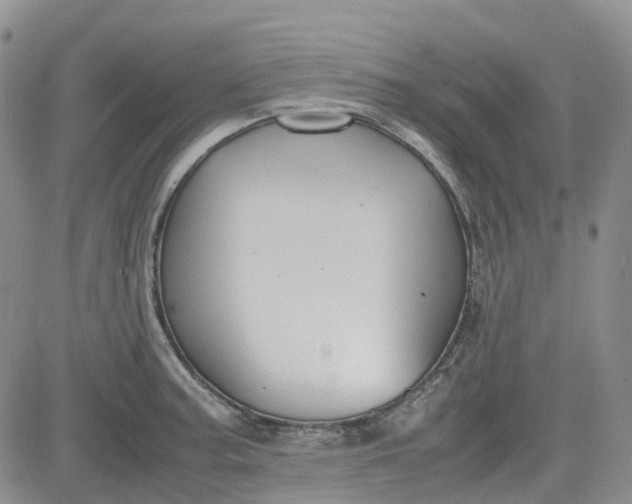 X0000081631187200701291314