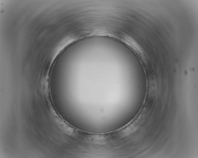 X0000081631190200701291314