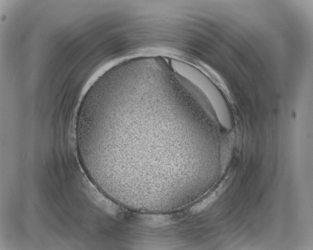 X0000081631192200701291314