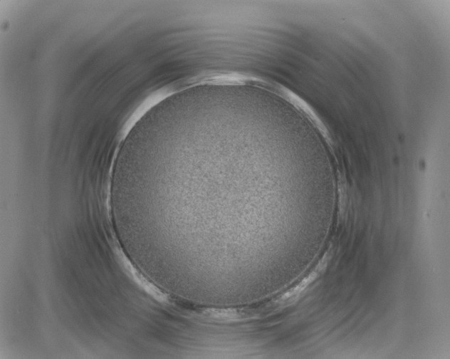 X0000081631194200701291314