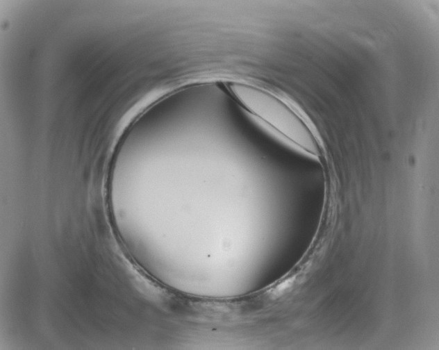 X0000081631197200701291314