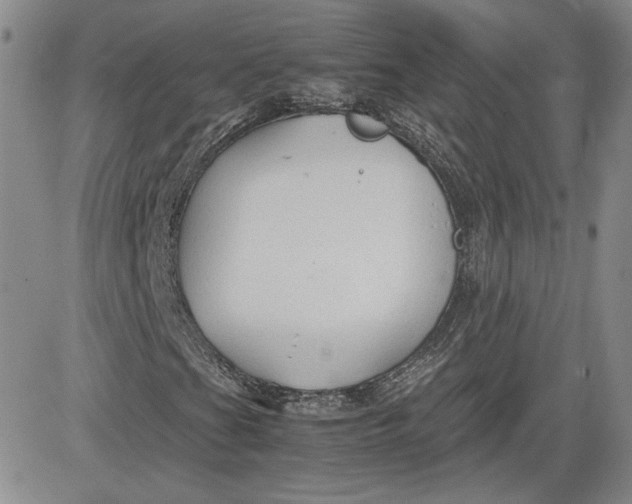 X0000081631201200701291313