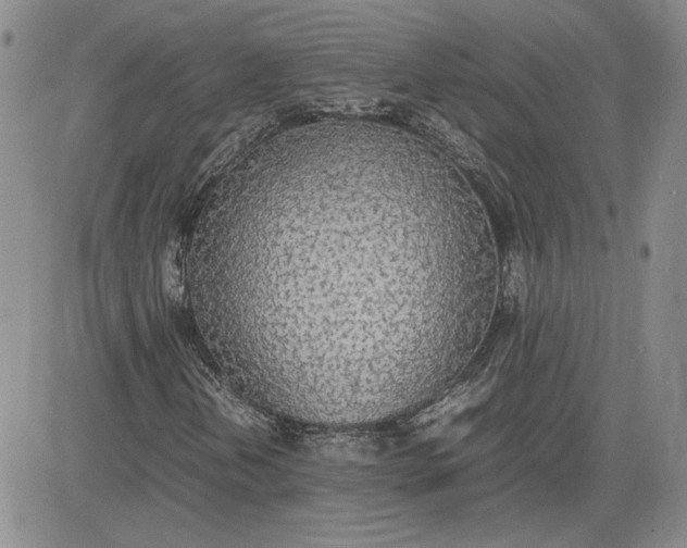 X0000081631202200701291313