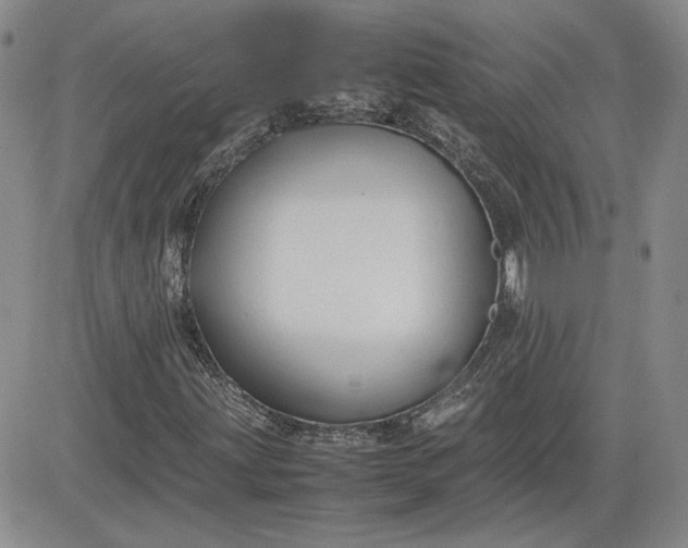 X0000081631203200701291313