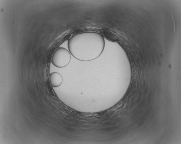 X0000081631205200701291313