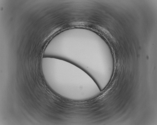 X0000081631209200701291313